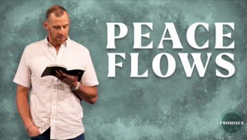 Peace-Flows