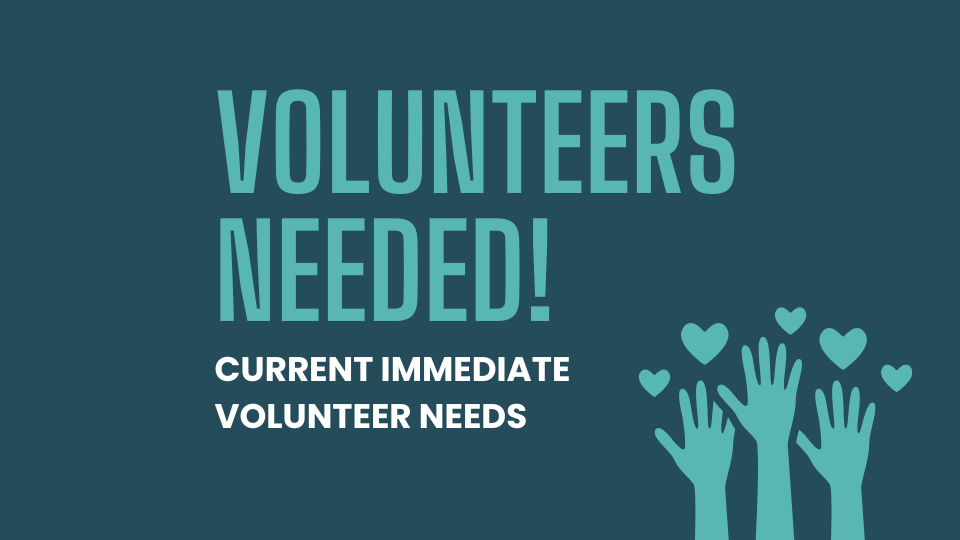 Blue and White Modern Volunteers Needed Facebook Post (960 x 540 px)