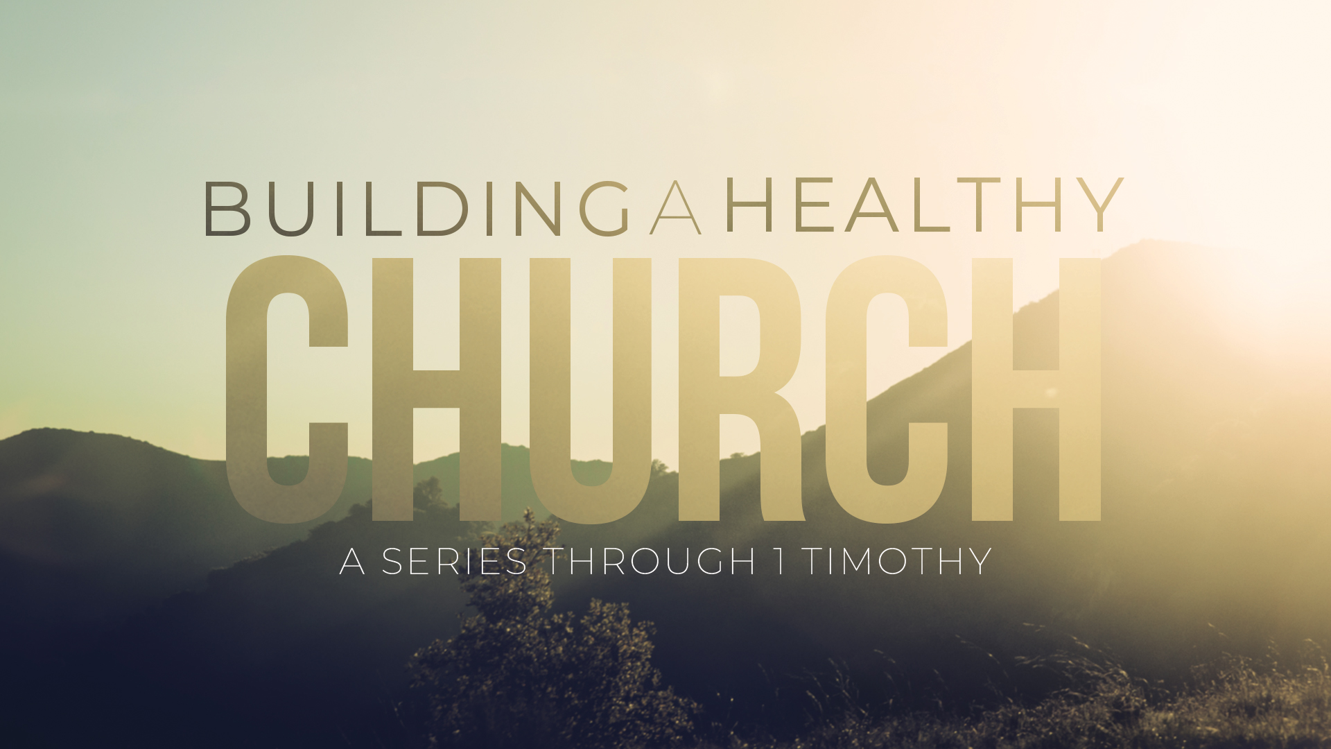 Graphic - Featured - 1-Timothy